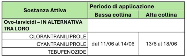 BOLLETTINO FITOSANITARIO VITE: 09 GIUGNO 2026 - 19