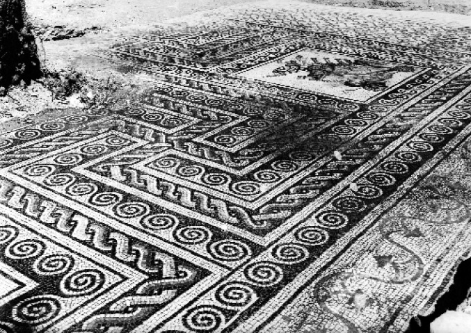 I mosaici della villa romana in Valpolicella: nome e etichetta per l’Amarone di Cantina Valpolicella Negrar dal 2011 - 9