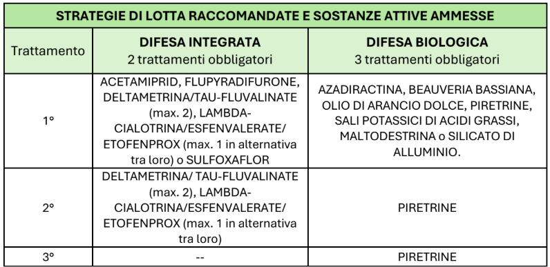 BOLLETTINO FITOSANITARIO VITE: 09 GIUGNO 2026 - 15