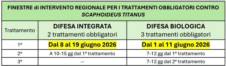 BOLLETTINO FITOSANITARIO VITE: 09 GIUGNO 2026 - 13
