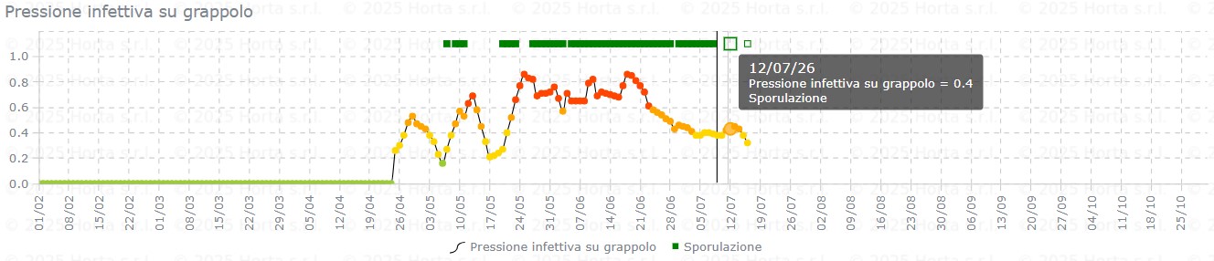 BOLLETTINO FITOSANITARIO VITE: 7 LUGLIO 2026 - 15