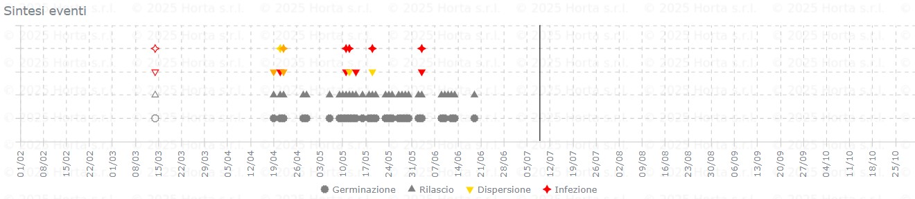 BOLLETTINO FITOSANITARIO VITE: 7 LUGLIO 2026 - 11
