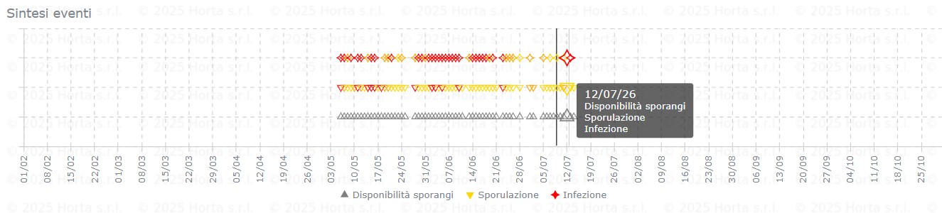 BOLLETTINO FITOSANITARIO VITE: 7 LUGLIO 2026 - 13