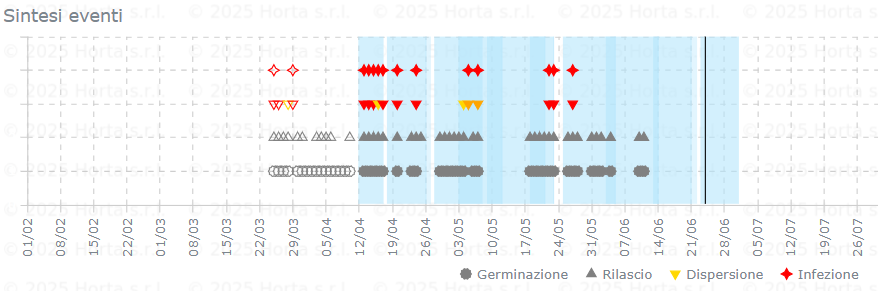 BOLLETTINO FITOSANITARIO VITE: 24 GIUGNO 2025 - 6 BOLLETTINO FITOSANITARIO VITE: 24 GIUGNO 2025 - 5