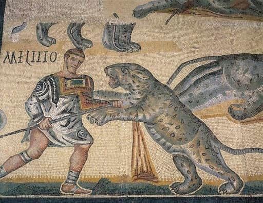 I mosaici della villa romana in Valpolicella: nome e etichetta per l’Amarone di Cantina Valpolicella Negrar dal 2011 - 15