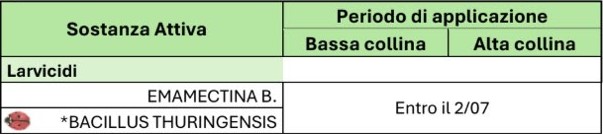 BOLLETTINO FITOSANITARIO BIOLOGICO: 30 GIUGNO 2026 - 31