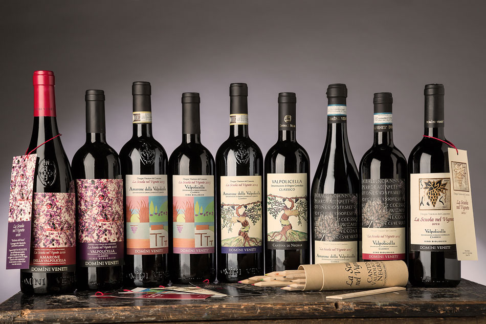 Cantina Valpolicella Negrar e la Scuola nel Vigneto 2018/2019: il progetto continua - 1