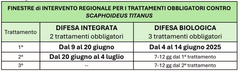 BOLLETTINO FITOSANITARIO VITE: 17 GIUGNO 2025 - 12 BOLLETTINO FITOSANITARIO VITE: 17 GIUGNO 2025 - 11
