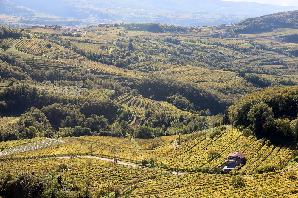 Invito al webinar: Le colline terrazzate della Valpolicella Classica patrimonio unico - 7