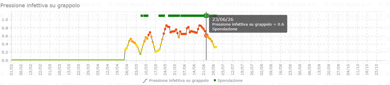 BOLLETTINO FITOSANITARIO VITE: 23 GIUGNO 2026 - 11