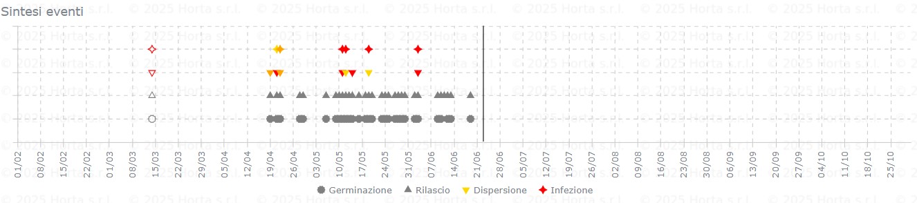 BOLLETTINO FITOSANITARIO VITE: 23 GIUGNO 2026 - 7