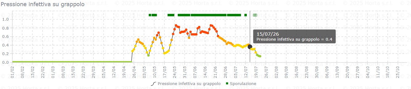 BOLLETTINO FITOSANITARIO VITE: 14 LUGLIO 2026 - 13
