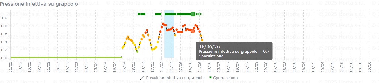 BOLLETTINO FITOSANITARIO BIOLOGICO: 16 GIUGNO 2026 - 13