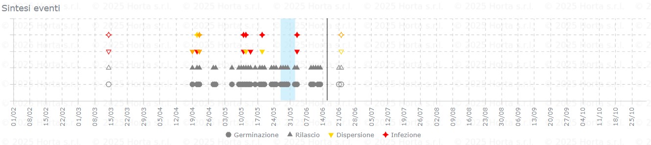BOLLETTINO FITOSANITARIO BIOLOGICO: 16 GIUGNO 2026 - 7
