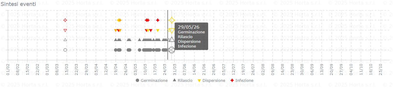 BOLLETTINO FITOSANITARIO VITE: 26 MAGGIO 2026 - 7