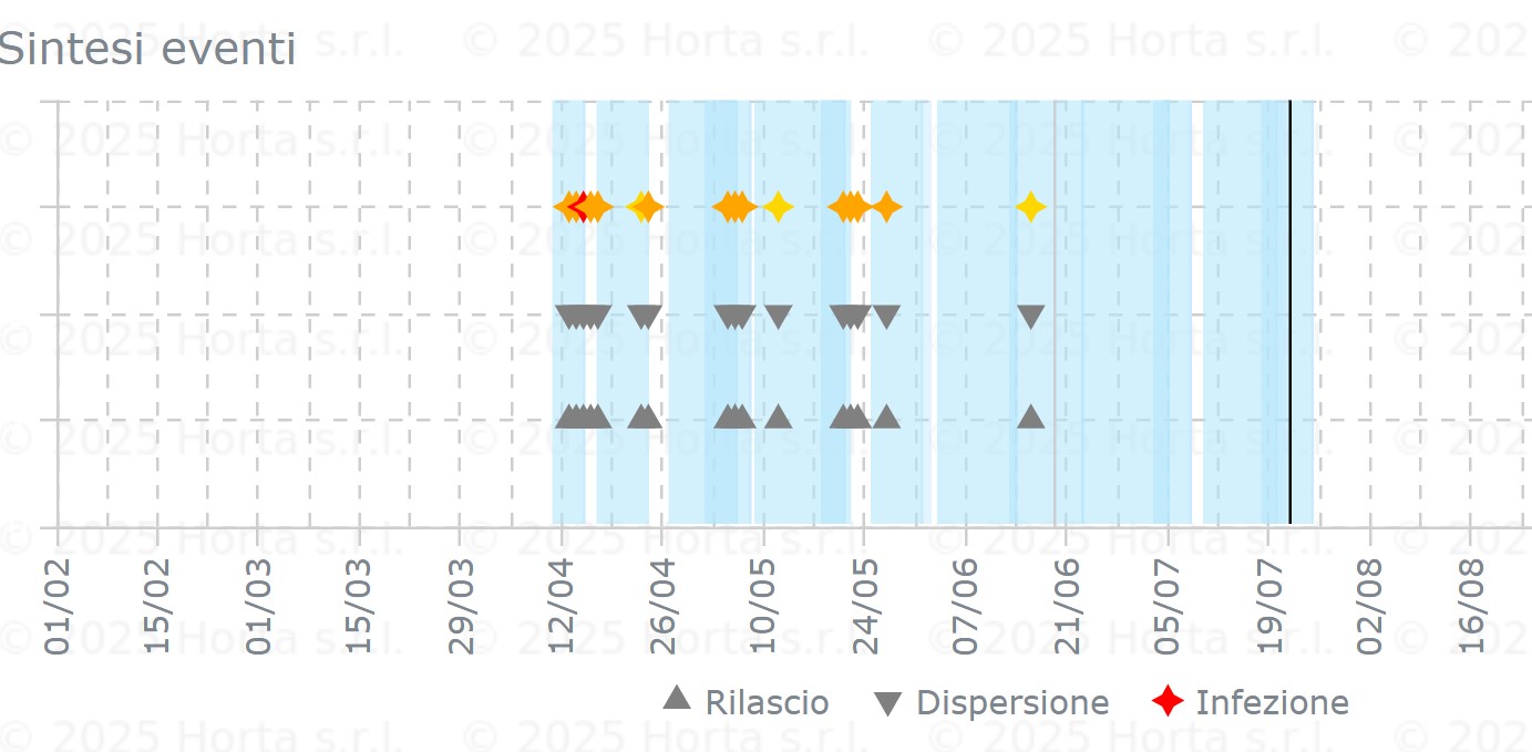 BOLLETTINO FITOSANITARIO VITE: 22 LUGLIO 2025 - 8 BOLLETTINO FITOSANITARIO VITE: 22 LUGLIO 2025 - 7