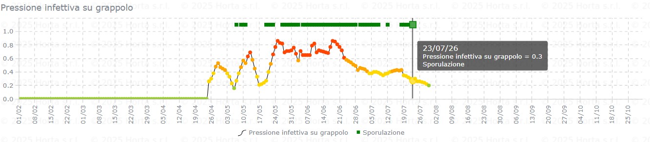 BOLLETTINO FITOSANITARIO VITE: 22 LUGLIO 2026 - 13