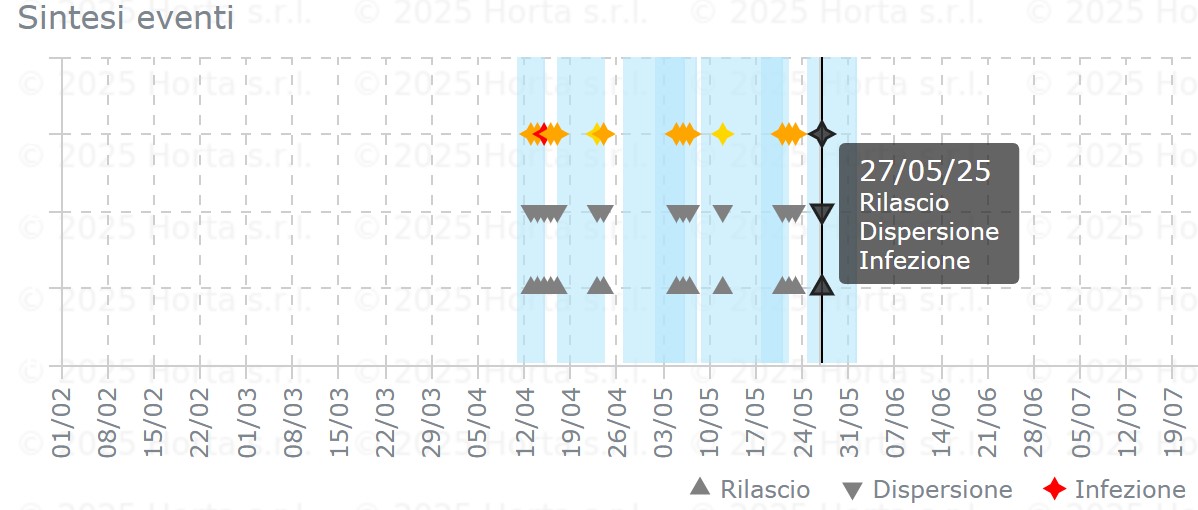 BOLLETTINO FITOSANITARIO VITE: 27 MAGGIO 2025 - 10 BOLLETTINO FITOSANITARIO VITE: 27 MAGGIO 2025 - 9
