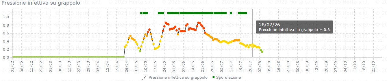 BOLLETTINO FITOSANITARIO VITE: 28 LUGLIO 2026 - 11