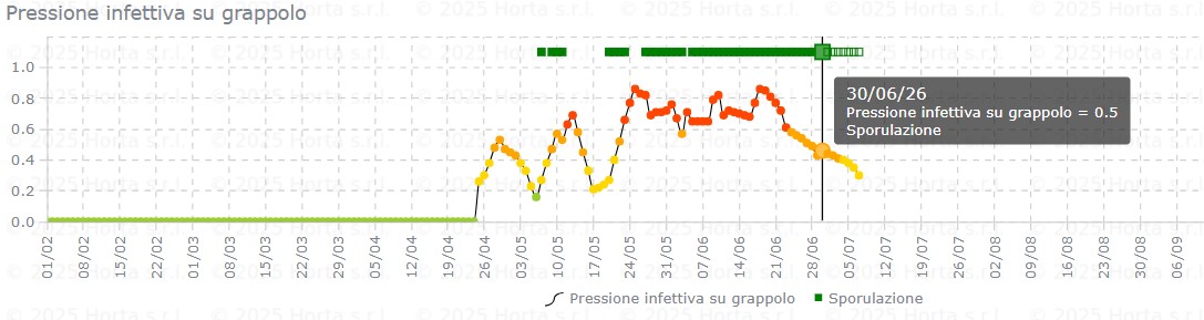 BOLLETTINO FITOSANITARIO BIOLOGICO: 30 GIUGNO 2026 - 17