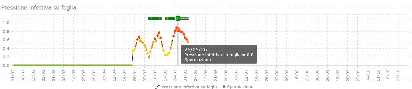 BOLLETTINO FITOSANITARIO VITE: 26 MAGGIO 2026 - 11