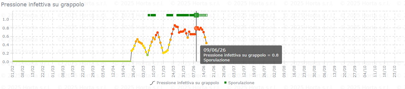 BOLLETTINO FITOSANITARIO VITE: 09 GIUGNO 2026 - 11