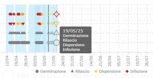 BOLLETTINO FITOSANITARIO BIOLOGICO: 13 MAGGIO 2025 - 8 BOLLETTINO FITOSANITARIO BIOLOGICO: 13 MAGGIO 2025 - 7