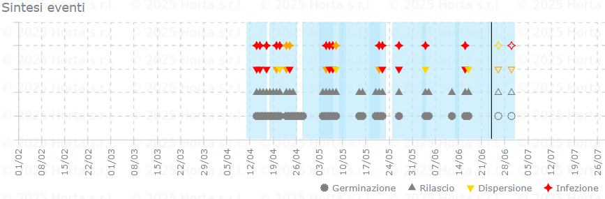BOLLETTINO FITOSANITARIO VITE: 24 GIUGNO 2025 - 4 BOLLETTINO FITOSANITARIO VITE: 24 GIUGNO 2025 - 3