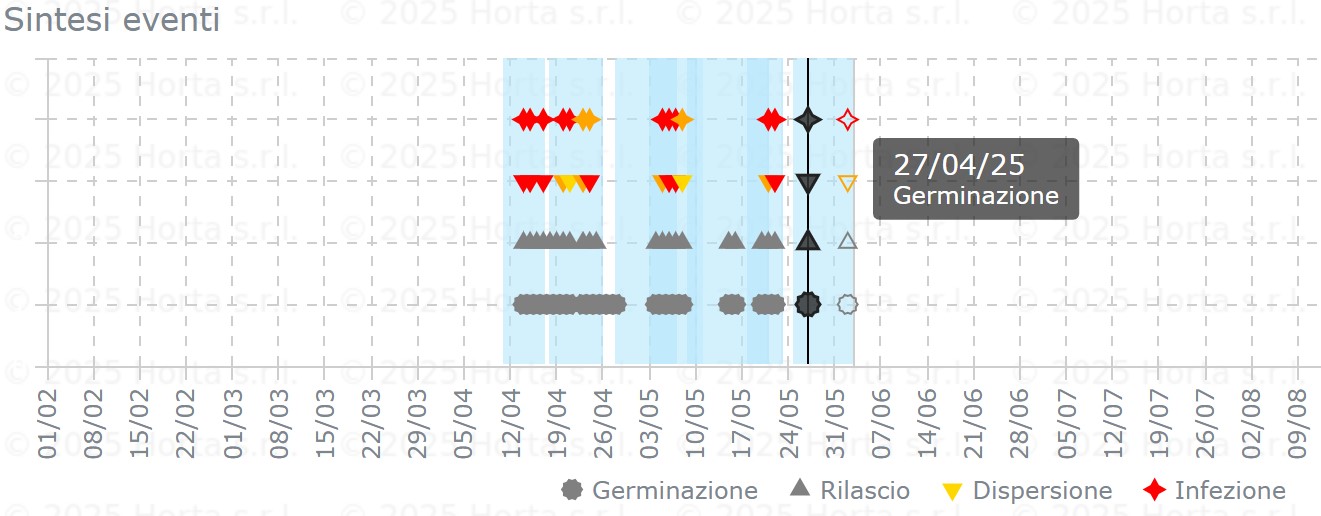BOLLETTINO FITOSANITARIO VITE: 27 MAGGIO 2025 - 6 BOLLETTINO FITOSANITARIO VITE: 27 MAGGIO 2025 - 5