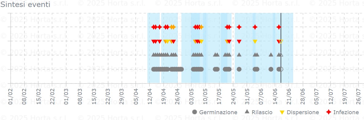 BOLLETTINO FITOSANITARIO VITE: 17 GIUGNO 2025 - 4 BOLLETTINO FITOSANITARIO VITE: 17 GIUGNO 2025 - 3