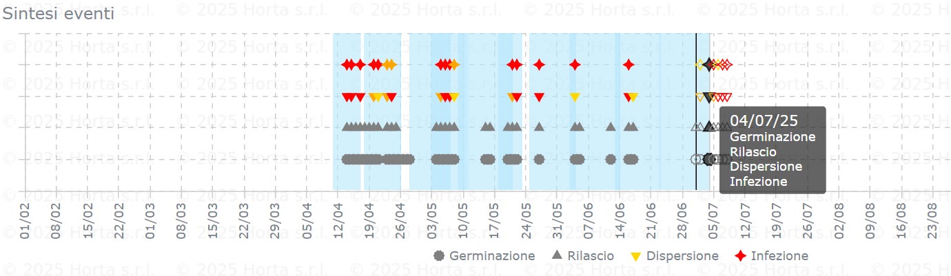 BOLLETTINO FITOSANITARIO VITE: 01 LUGLIO 2025 - 4 BOLLETTINO FITOSANITARIO VITE: 01 LUGLIO 2025 - 3