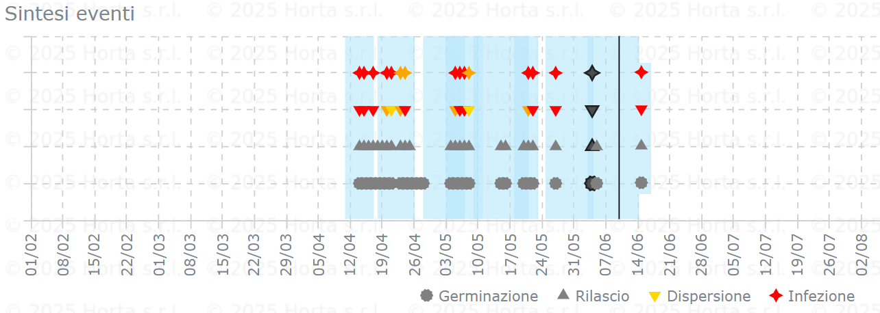 BOLLETTINO FITOSANITARIO BIOLOGICO: 10 GIUGNO 2025 - 6 BOLLETTINO FITOSANITARIO BIOLOGICO: 10 GIUGNO 2025 - 5
