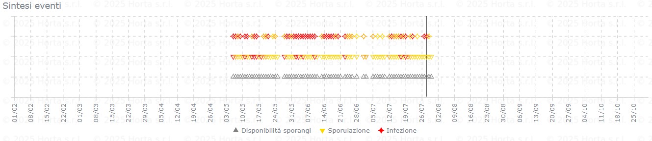 BOLLETTINO FITOSANITARIO VITE: 28 LUGLIO 2026 - 9