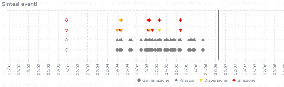 BOLLETTINO FITOSANITARIO BIOLOGICO: 30 GIUGNO 2026 - 11