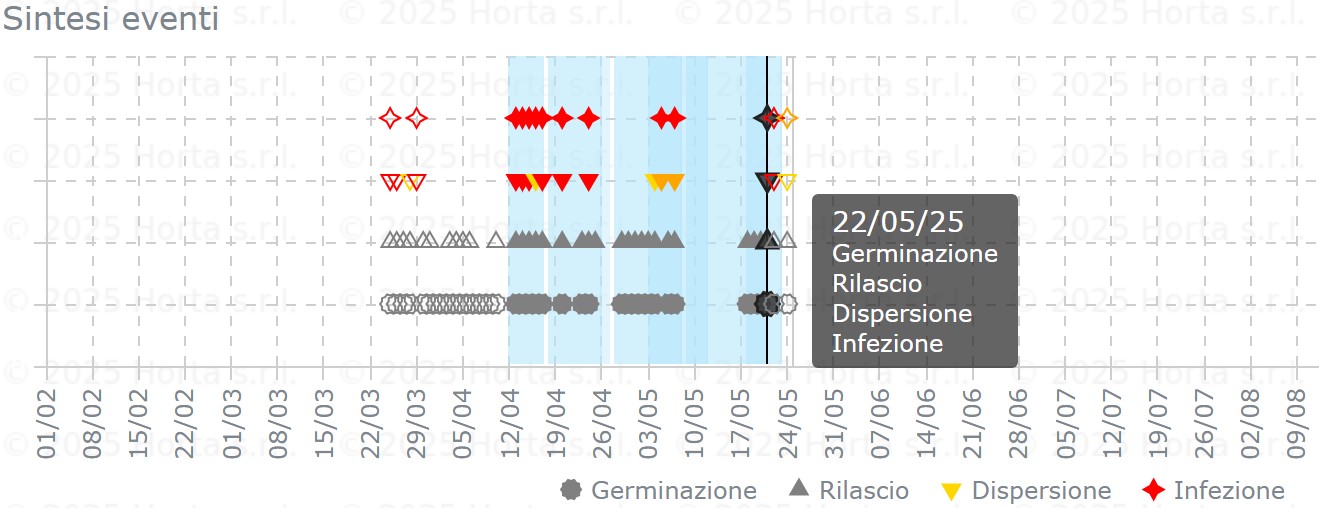 BOLLETTINO FITOSANITARIO BIOLOGICO: 20 MAGGIO 2025 - 10 BOLLETTINO FITOSANITARIO BIOLOGICO: 20 MAGGIO 2025 - 9