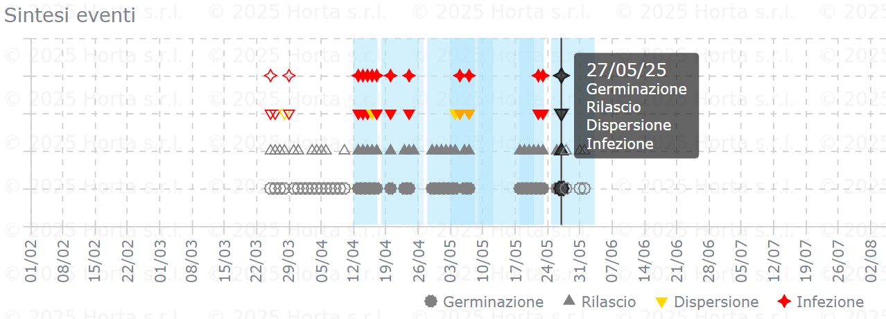 BOLLETTINO FITOSANITARIO VITE: 27 MAGGIO 2025 - 8 BOLLETTINO FITOSANITARIO VITE: 27 MAGGIO 2025 - 7