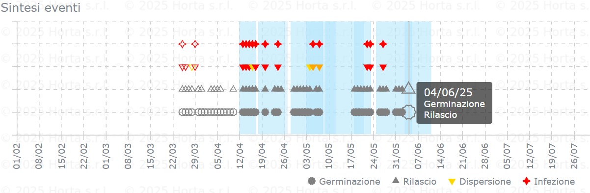BOLLETTINO FITOSANITARIO VITE: 04 GIUGNO 2025 - 8 BOLLETTINO FITOSANITARIO VITE: 04 GIUGNO 2025 - 7