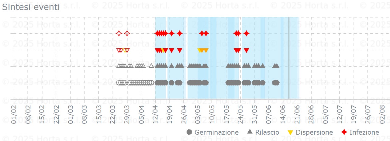 BOLLETTINO FITOSANITARIO VITE: 17 GIUGNO 2025 - 6 BOLLETTINO FITOSANITARIO VITE: 17 GIUGNO 2025 - 5
