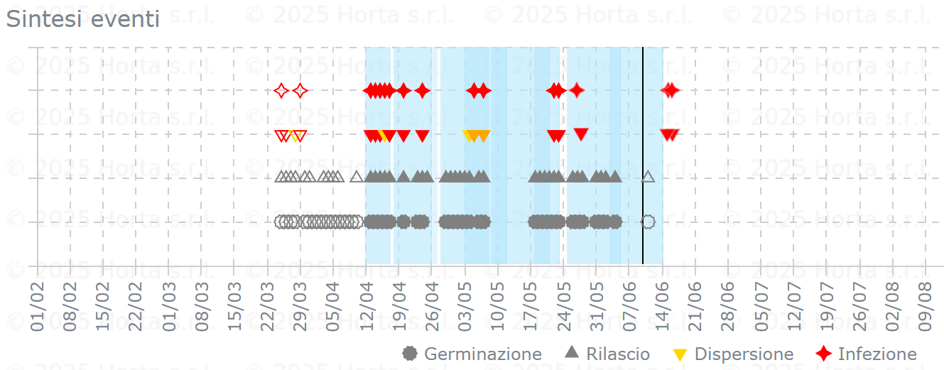 BOLLETTINO FITOSANITARIO BIOLOGICO: 10 GIUGNO 2025 - 8 BOLLETTINO FITOSANITARIO BIOLOGICO: 10 GIUGNO 2025 - 7