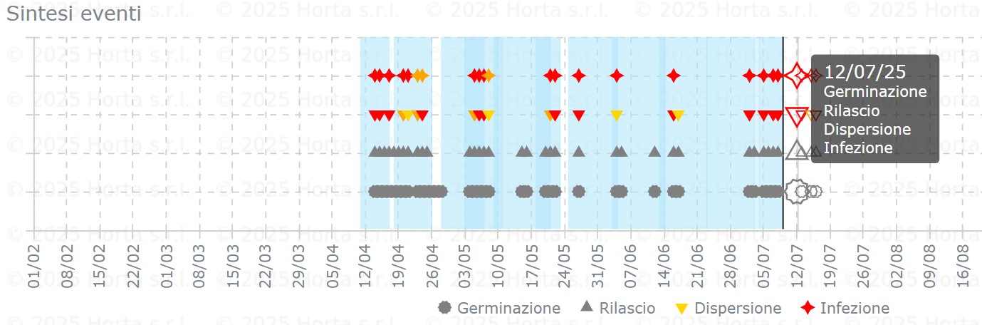 BOLLETTINO FITOSANITARIO VITE: 09 LUGLIO 2025 - 4 BOLLETTINO FITOSANITARIO VITE: 09 LUGLIO 2025 - 3