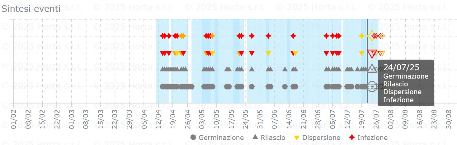 BOLLETTINO FITOSANITARIO VITE: 22 LUGLIO 2025 - 4 BOLLETTINO FITOSANITARIO VITE: 22 LUGLIO 2025 - 3
