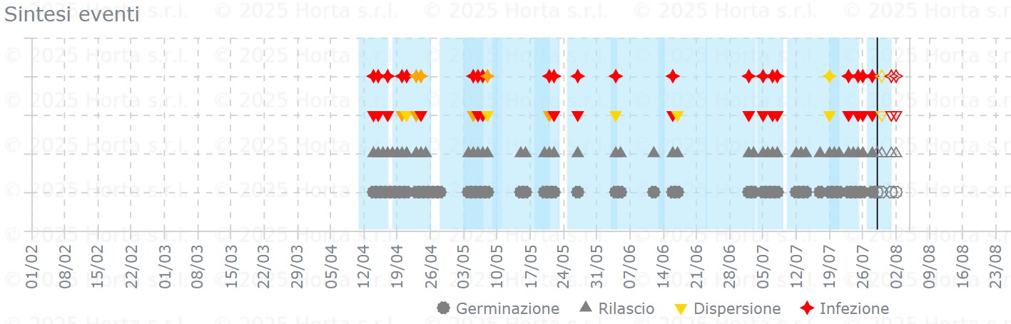 BOLLETTINO FITOSANITARIO BIOLOGICO: 29 LUGLIO 2025 - 5