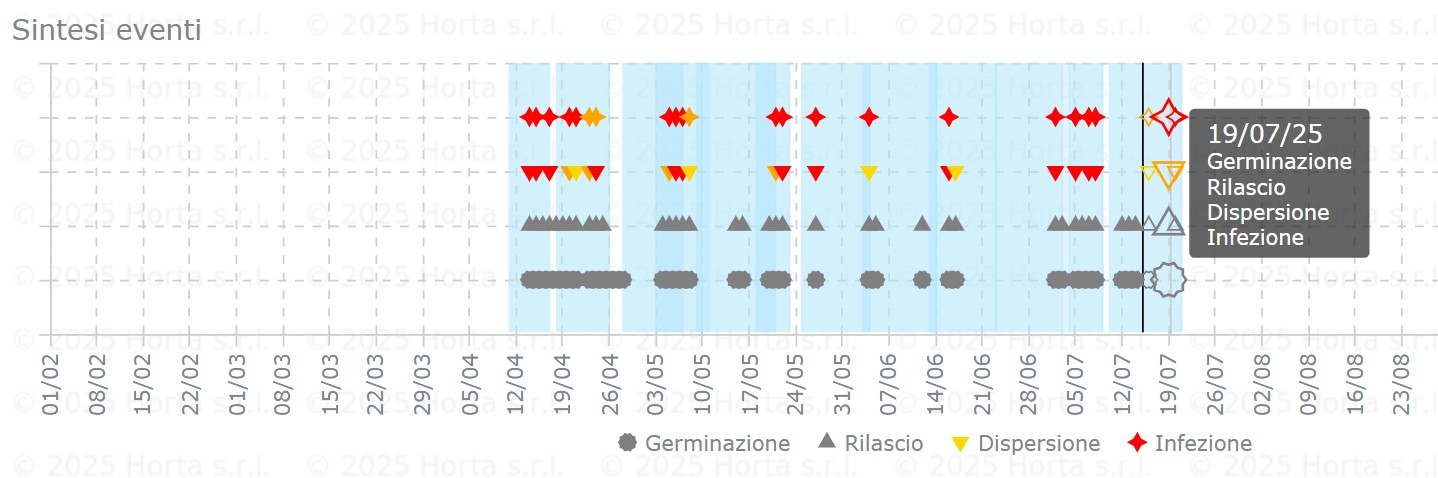 BOLLETTINO FITOSANITARIO VITE: 15 LUGLIO 2025 - 4 BOLLETTINO FITOSANITARIO VITE: 15 LUGLIO 2025 - 3