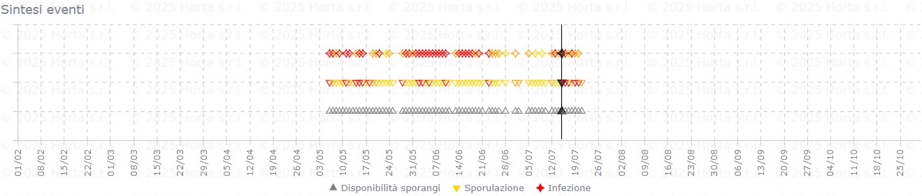 BOLLETTINO FITOSANITARIO VITE: 14 LUGLIO 2026 - 11