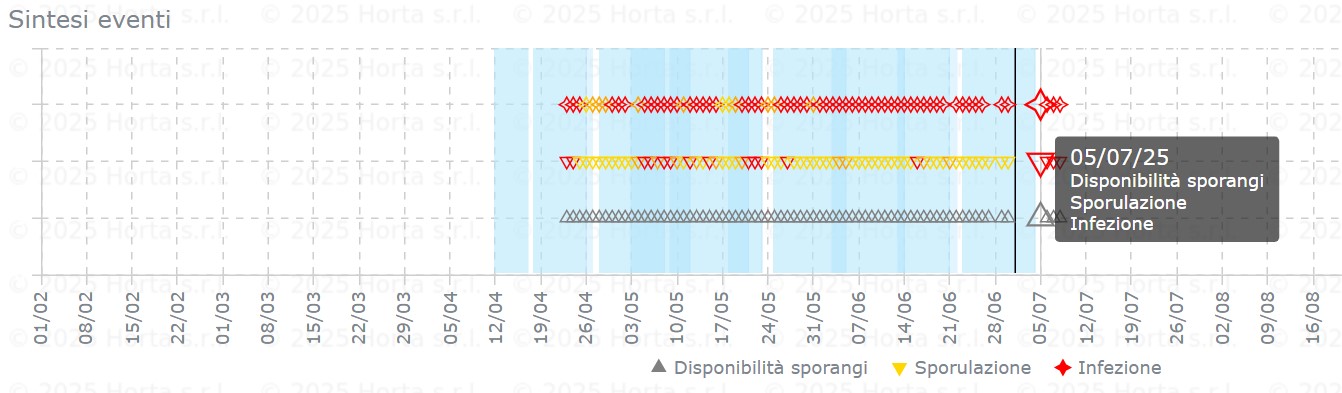 BOLLETTINO FITOSANITARIO VITE: 01 LUGLIO 2025 - 6 BOLLETTINO FITOSANITARIO VITE: 01 LUGLIO 2025 - 5