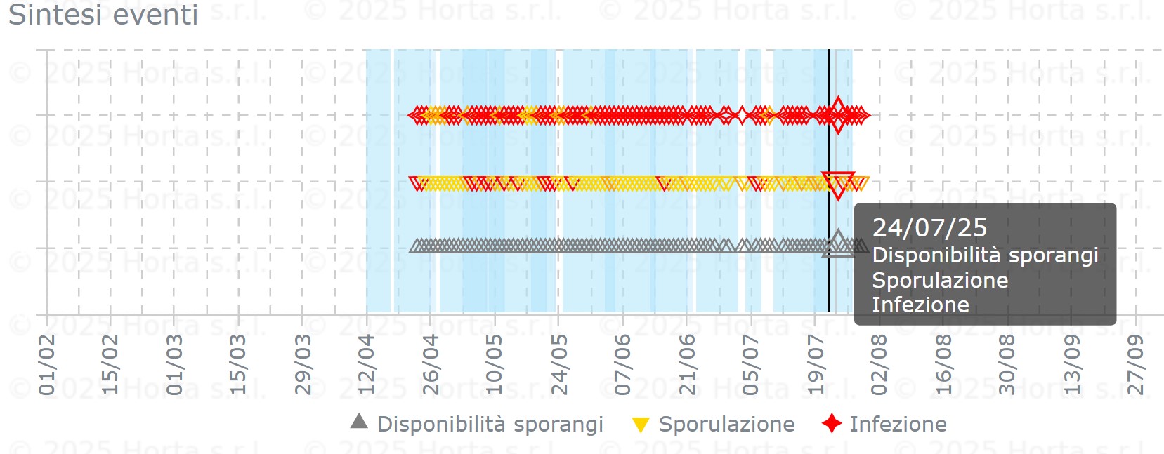 BOLLETTINO FITOSANITARIO VITE: 22 LUGLIO 2025 - 6 BOLLETTINO FITOSANITARIO VITE: 22 LUGLIO 2025 - 5