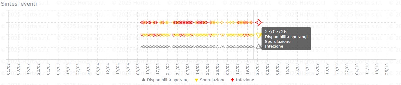 BOLLETTINO FITOSANITARIO VITE: 22 LUGLIO 2026 - 11