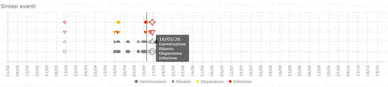 BOLLETTINO FITOSANITARIO VITE: 12 MAGGIO 2026 - 7