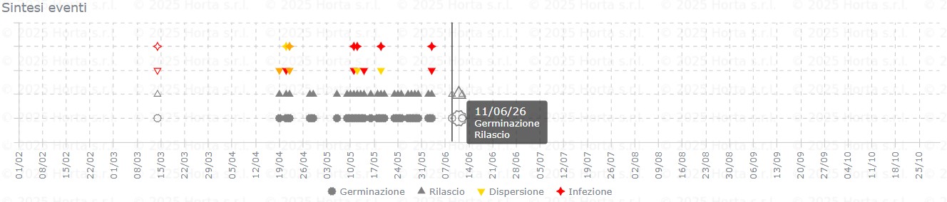 BOLLETTINO FITOSANITARIO VITE: 09 GIUGNO 2026 - 7