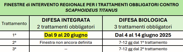 MISURE DI LOTTA OBBLIGATORIA CONTRO LA FLAVESCENZA DORATA - 05 GIUGNO 2025 - 2 MISURE DI LOTTA OBBLIGATORIA CONTRO LA FLAVESCENZA DORATA - 05 GIUGNO 2025 - 1